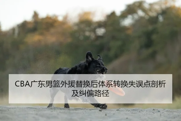 CBA广东男篮外援替换后体系转换失误点剖析及纠偏路径